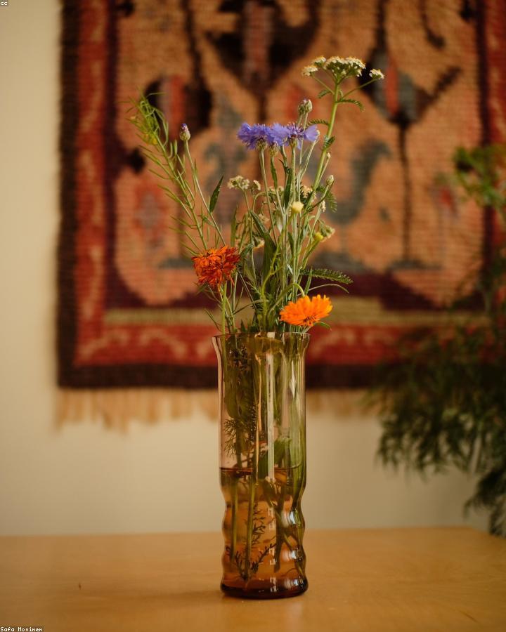 Cove Totem House