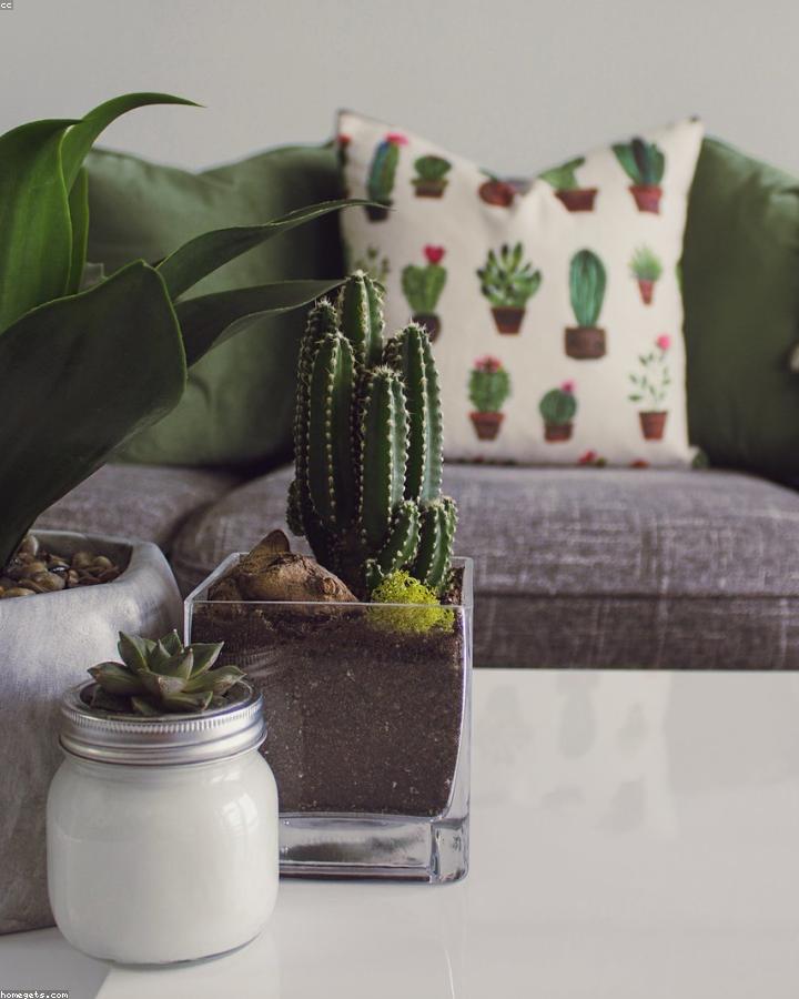 Orion Vase Room