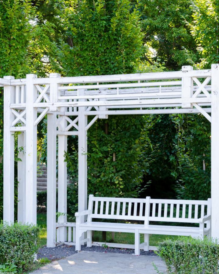 Arden Patio Chair Room